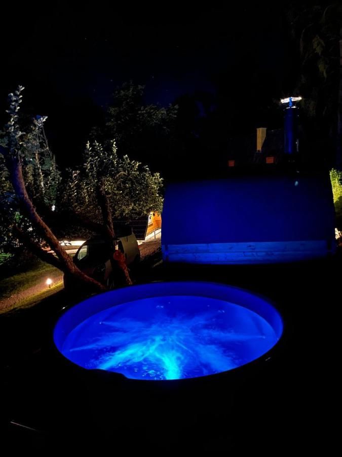 Podświetlone na niebiesko jacuzzi w ogrodzie nocą